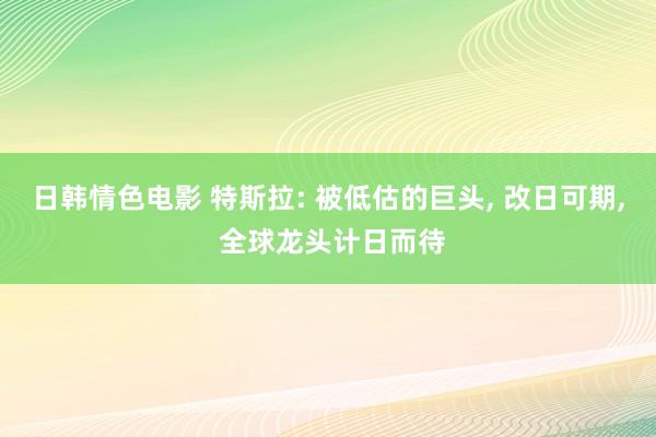 日韩情色电影 特斯拉: 被低估的巨头, 改日可期, 全球龙头计日而待