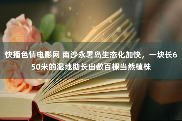 快播色情电影网 南沙永暑岛生态化加快，一块长650米的湿地助长出数百棵当然植株