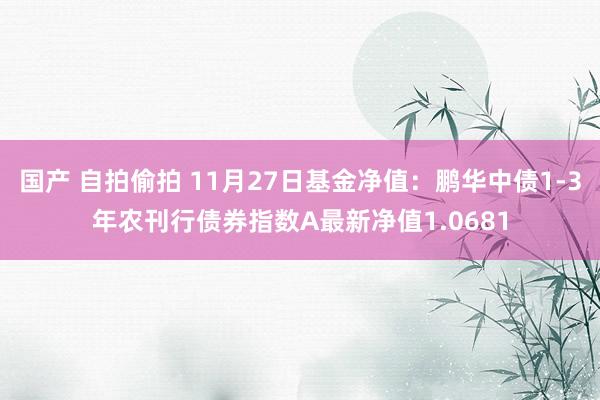 国产 自拍偷拍 11月27日基金净值：鹏华中债1-3年农刊行债券指数A最新净值1.0681