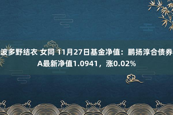 波多野结衣 女同 11月27日基金净值：鹏扬淳合债券A最新净值1.0941，涨0.02%