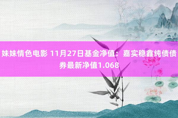 妹妹情色电影 11月27日基金净值：嘉实稳鑫纯债债券最新净值1.068