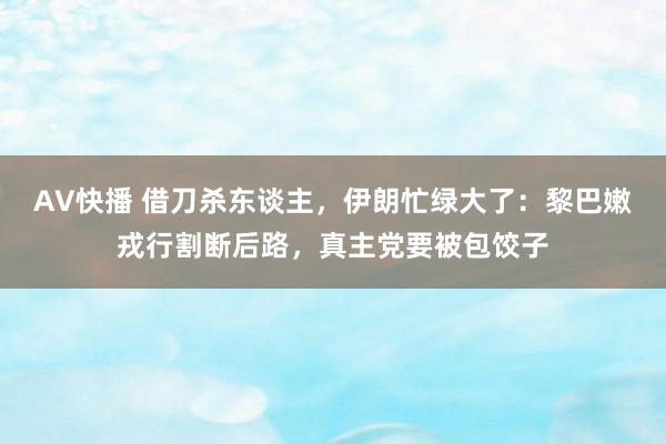 AV快播 借刀杀东谈主，伊朗忙绿大了：黎巴嫩戎行割断后路，真主党要被包饺子