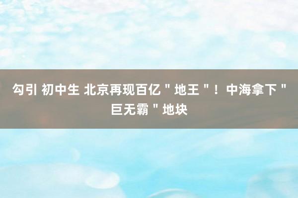 勾引 初中生 北京再现百亿＂地王＂！中海拿下＂巨无霸＂地块