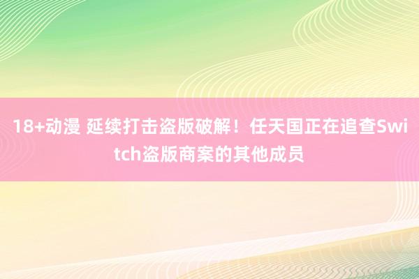 18+动漫 延续打击盗版破解！任天国正在追查Switch盗版商案的其他成员