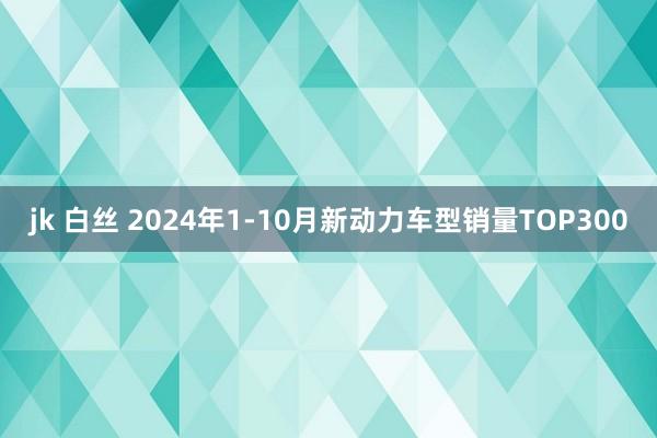 jk 白丝 2024年1-10月新动力车型销量TOP300