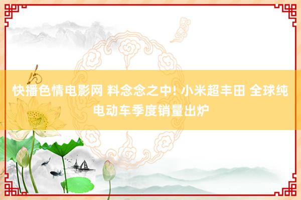 快播色情电影网 料念念之中! 小米超丰田 全球纯电动车季度销量出炉