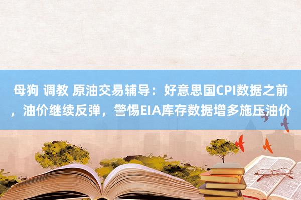 母狗 调教 原油交易辅导：好意思国CPI数据之前，油价继续反弹，警惕EIA库存数据增多施压油价