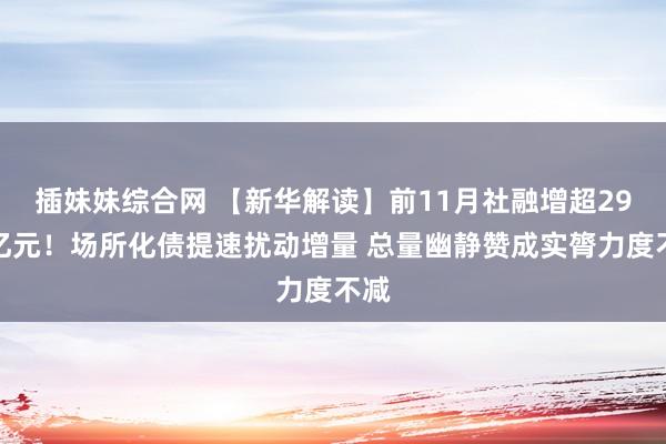 插妹妹综合网 【新华解读】前11月社融增超29万亿元！场所化债提速扰动增量 总量幽静赞成实膂力度不减