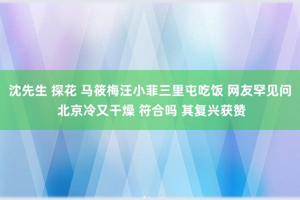 沈先生 探花 马筱梅汪小菲三里屯吃饭 网友罕见问 北京冷又干燥 符合吗 其复兴获赞