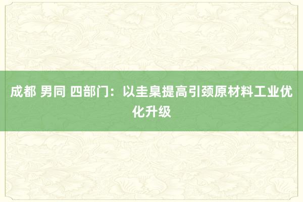 成都 男同 四部门：以圭臬提高引颈原材料工业优化升级