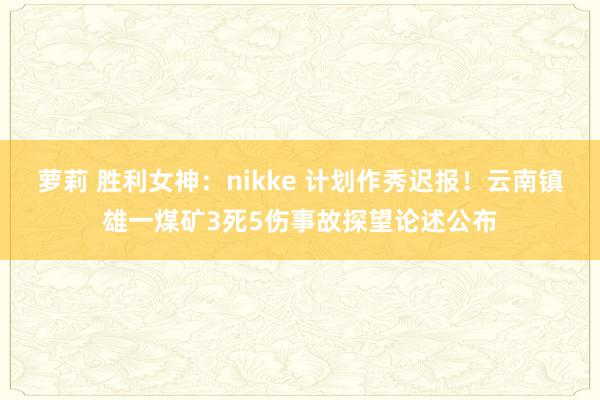 萝莉 胜利女神：nikke 计划作秀迟报！云南镇雄一煤矿3死5伤事故探望论述公布