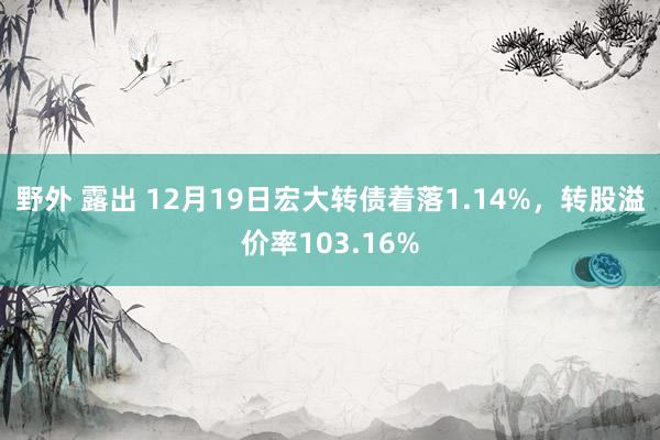 野外 露出 12月19日宏大转债着落1.14%，转股溢价率103.16%