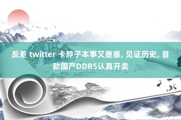 反差 twitter 卡脖子本事又壅塞， 见证历史， 首款国产DDR5认真开卖