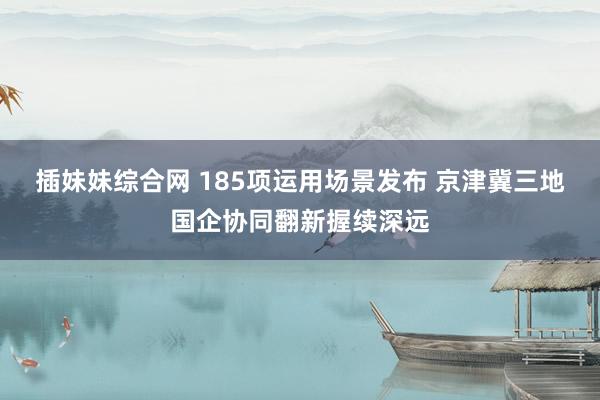 插妹妹综合网 185项运用场景发布 京津冀三地国企协同翻新握续深远