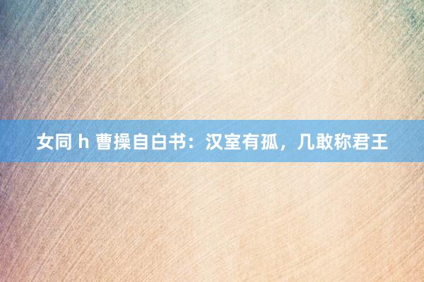 女同 h 曹操自白书：汉室有孤，几敢称君王