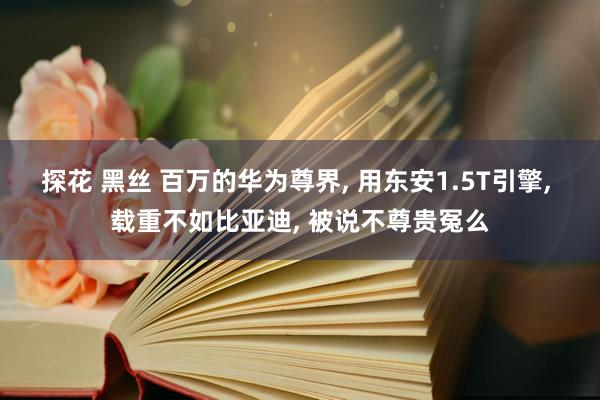 探花 黑丝 百万的华为尊界， 用东安1.5T引擎， 载重不如比亚迪， 被说不尊贵冤么