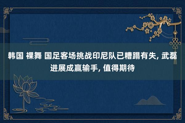 韩国 裸舞 国足客场挑战印尼队已糟蹋有失， 武磊进展成赢输手， 值得期待