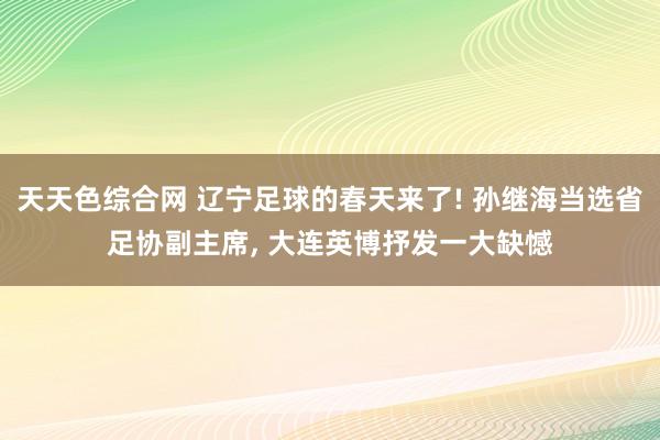 天天色综合网 辽宁足球的春天来了! 孙继海当选省足协副主席， 大连英博抒发一大缺憾