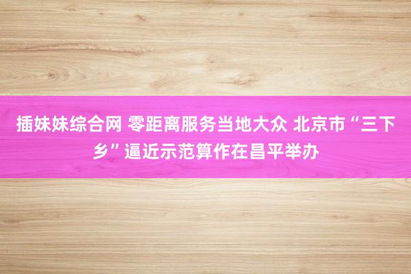 插妹妹综合网 零距离服务当地大众 北京市“三下乡”逼近示范算作在昌平举办