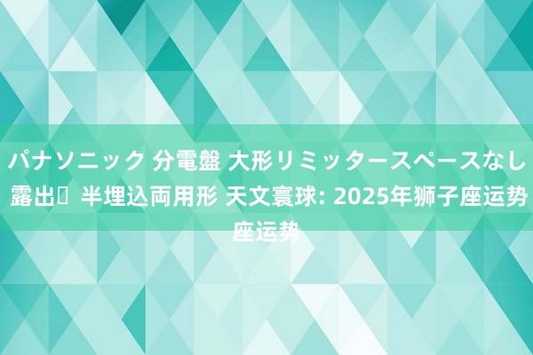 パナソニック 分電盤 大形リミッタースペースなし 露出・半埋込両用形 天文寰球: 2025年狮子座运势