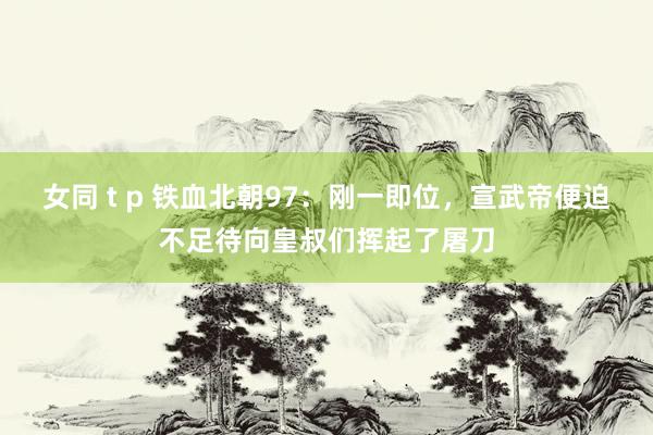 女同 t p 铁血北朝97：刚一即位，宣武帝便迫不足待向皇叔们挥起了屠刀