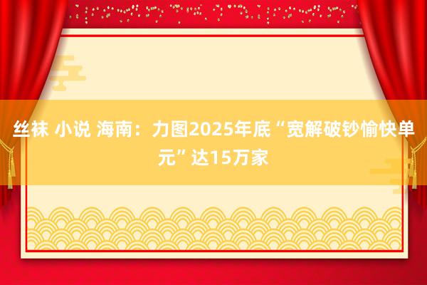 丝袜 小说 海南：力图2025年底“宽解破钞愉快单元”达15万家