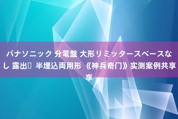 パナソニック 分電盤 大形リミッタースペースなし 露出・半埋込両用形 《神兵奇门》实测案例共享