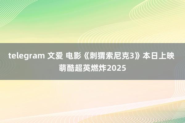 telegram 文爱 电影《刺猬索尼克3》本日上映 萌酷超英燃炸2025