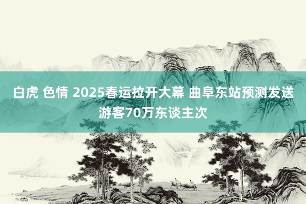 白虎 色情 2025春运拉开大幕 曲阜东站预测发送游客70万东谈主次