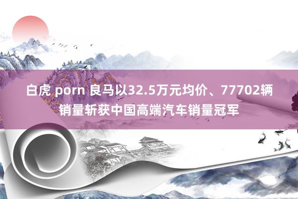 白虎 porn 良马以32.5万元均价、77702辆销量斩获中国高端汽车销量冠军